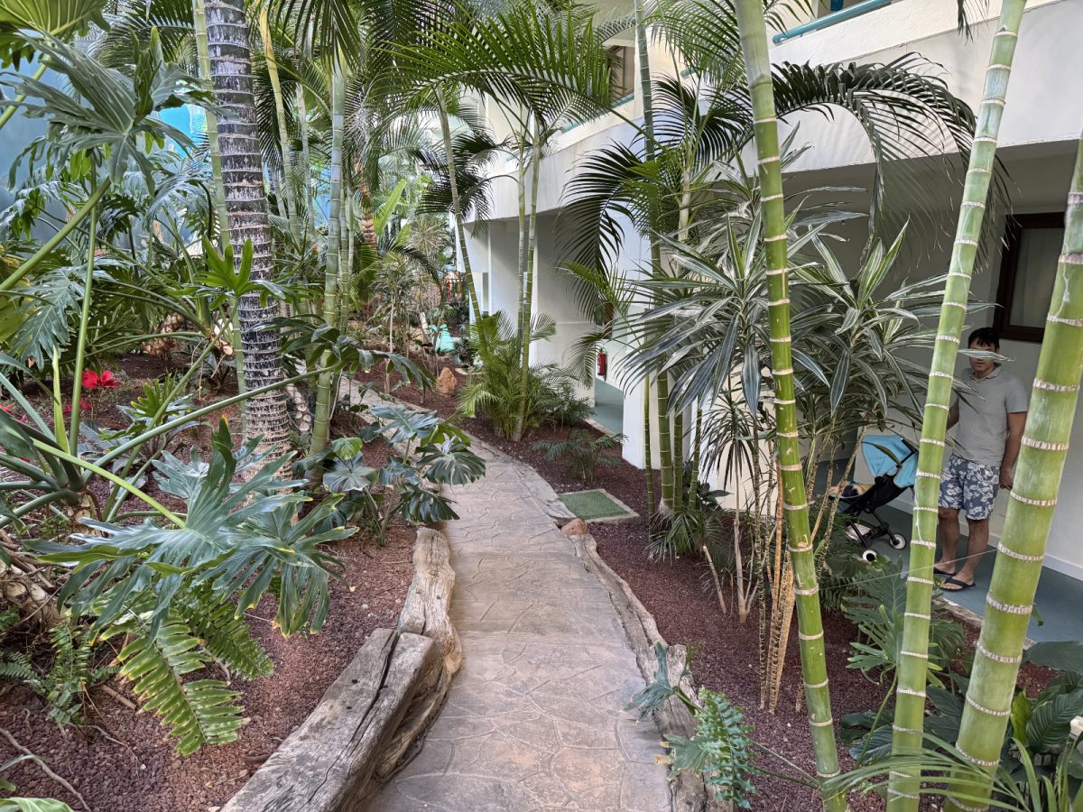 Džungla v hotelskem dvorišču.