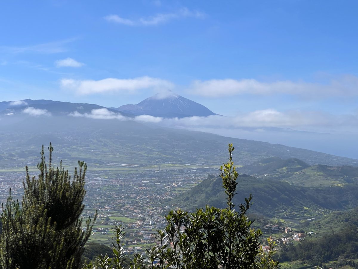 Pogled proti vulkanu Teide.