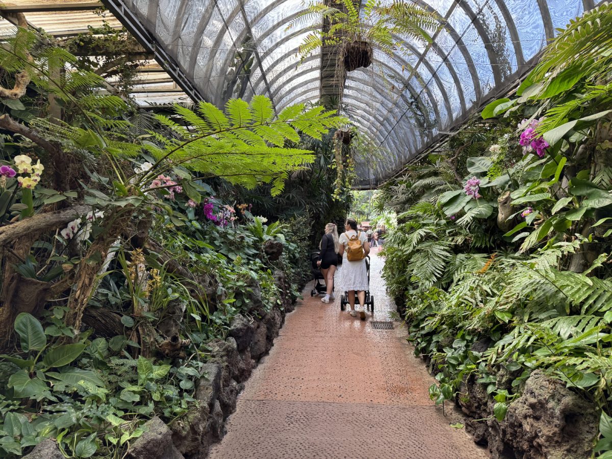 Največji del parka je namenjen papigam in drugim ptičem.