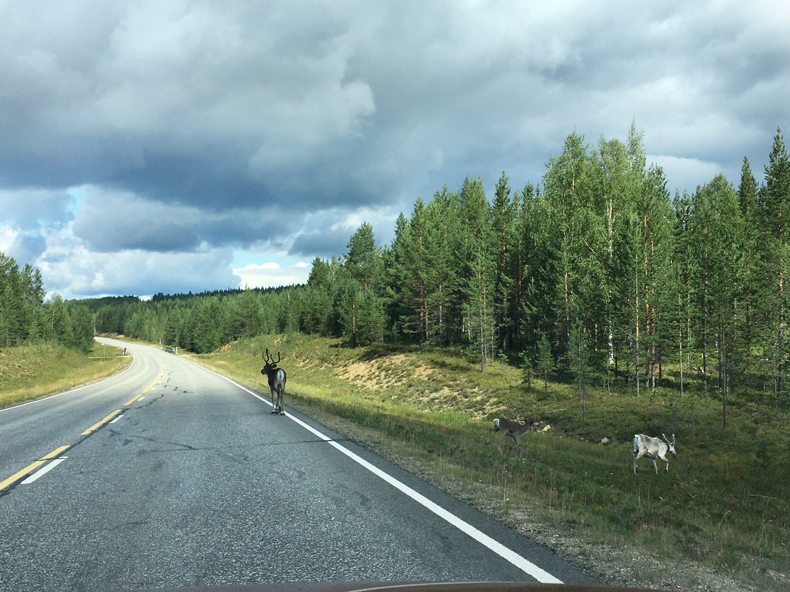 Roadtrip na Finsko