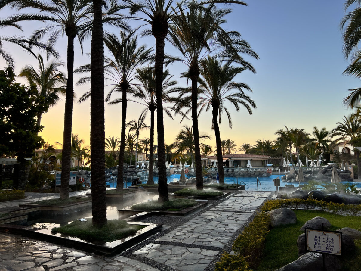 Hotel si je zaslužil ime Palm Oasis.