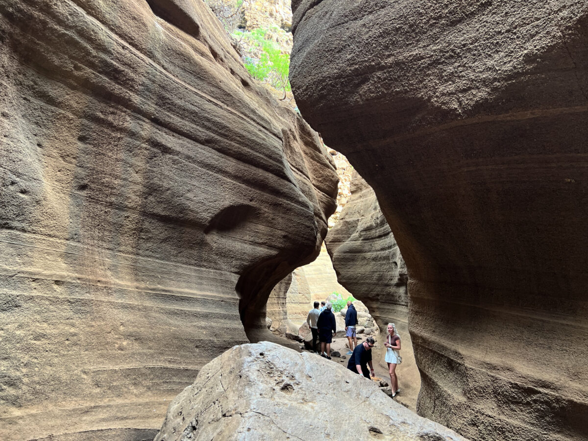 Soteska Barranco de las vacas.
